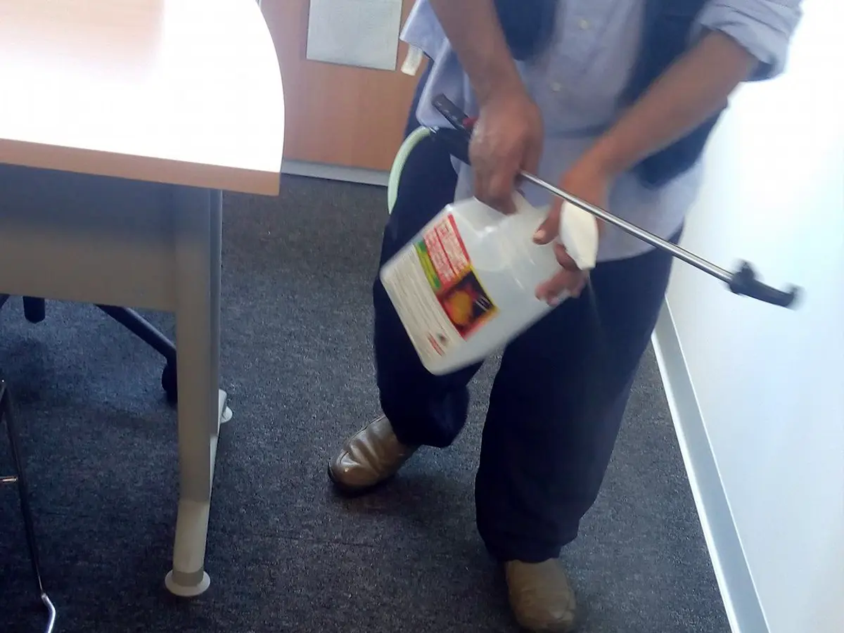 Renovación de Muebles