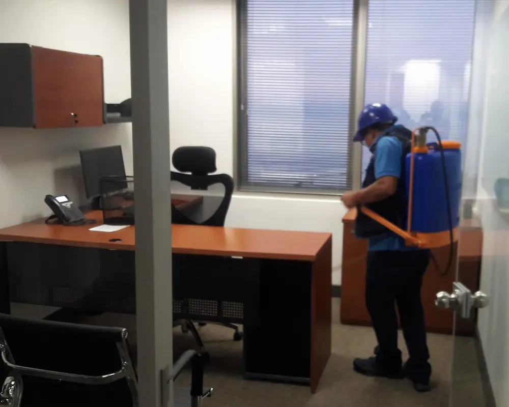 Renovación de Muebles